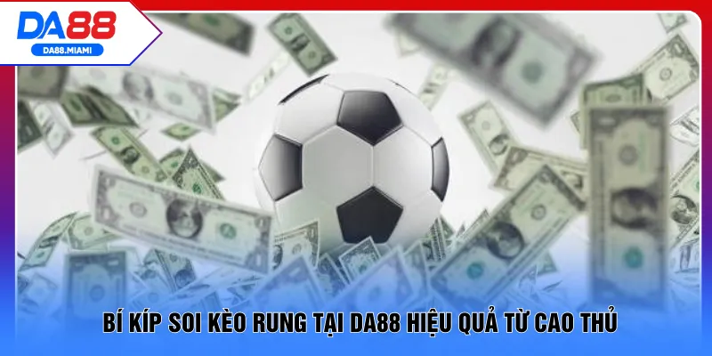 Bí kíp soi kèo rung tại DA88 hiệu quả từ cao thủ